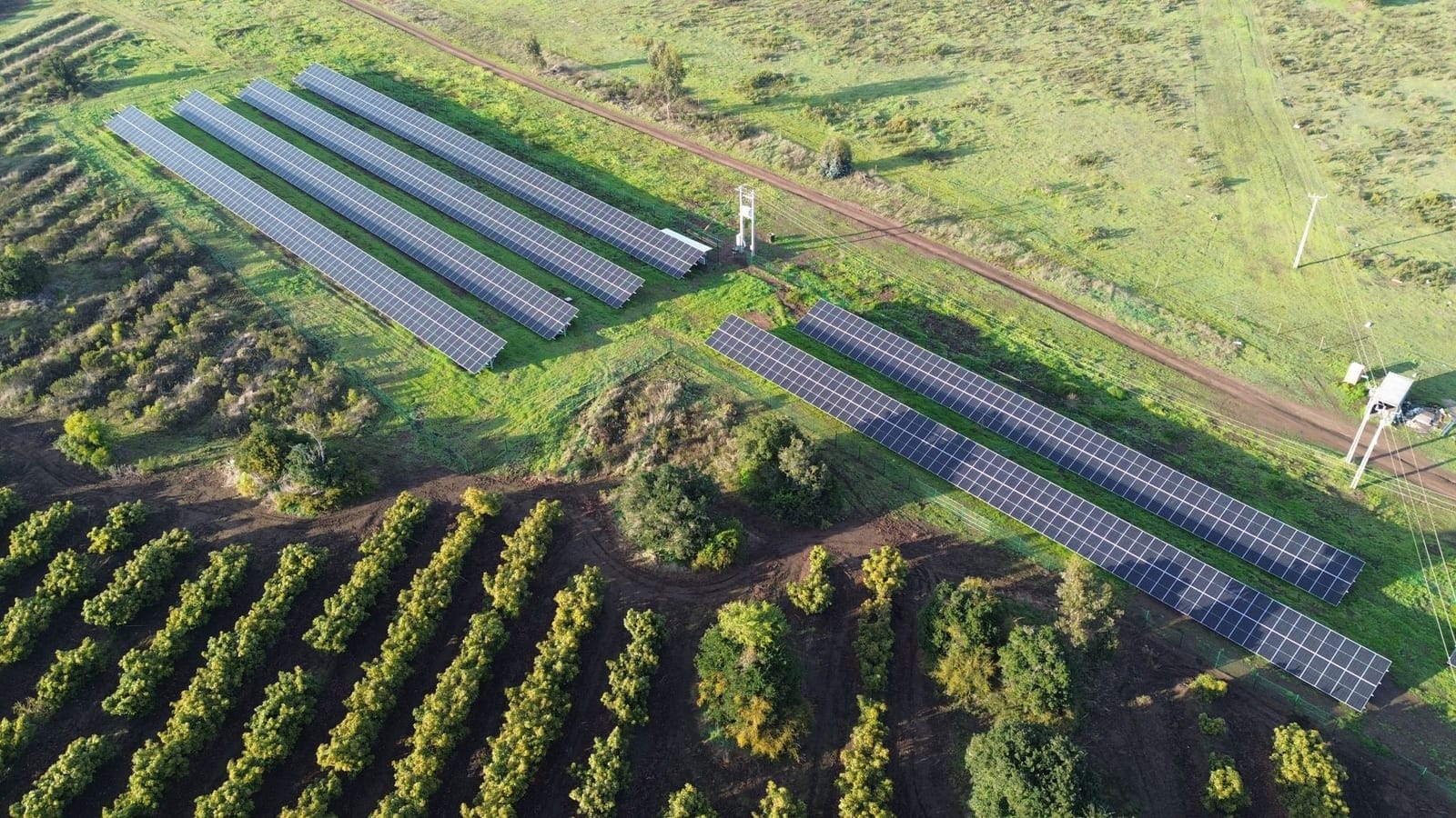 Energía solar para viñas y bodegas: ahorro y sostenibilidad vitivinícola