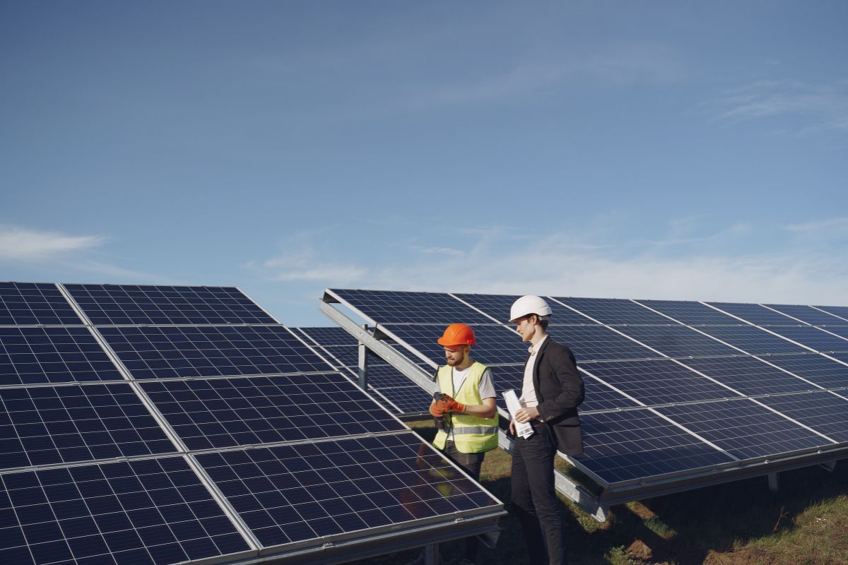 elegir compañía paneles solares