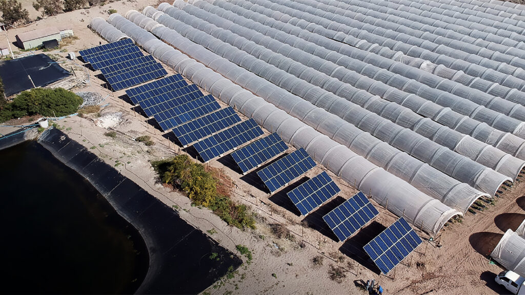 BROCHURE NOV 2025_Mesa de trabajo 1 copia 11