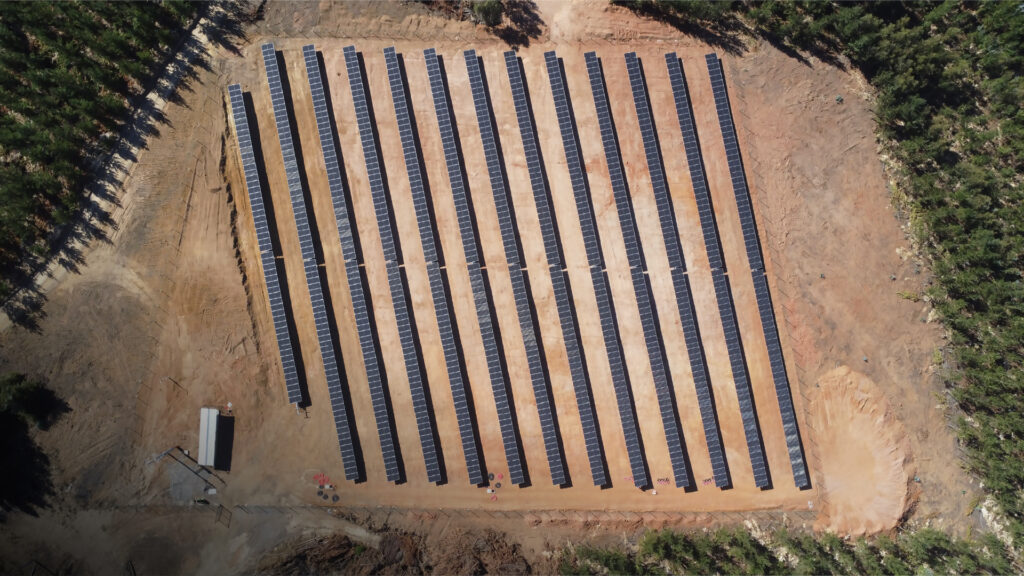 FORESTAL SANTA BLANCA